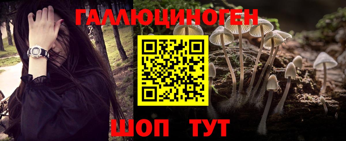 Галлюциногенные грибы Psilocybe  Вход с VPN  Рассказово 